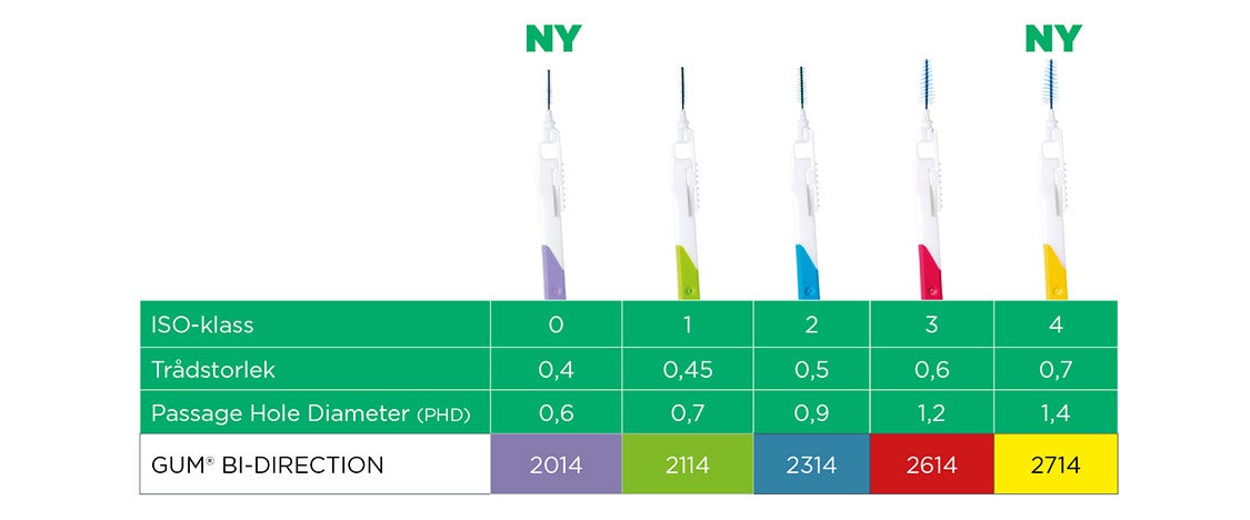 In-context-GUM-BI-Direction-sizeguide-SE