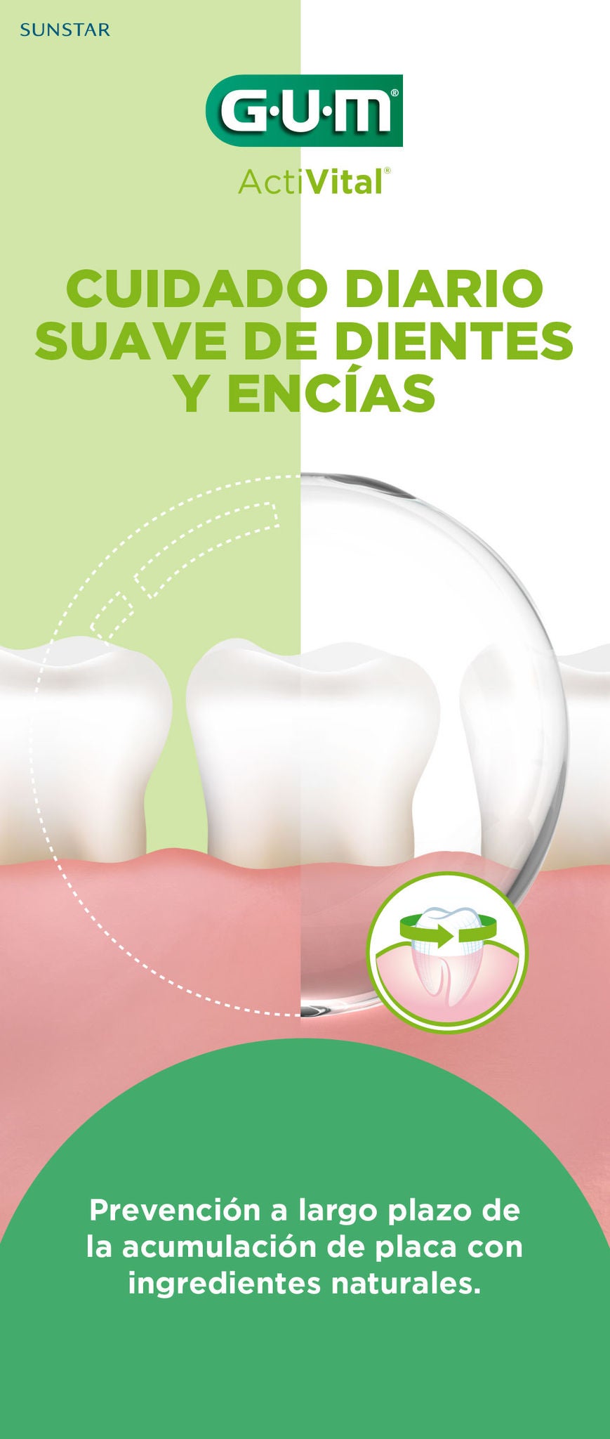 Folleto informativo para el cuidado diario de dientes y encías