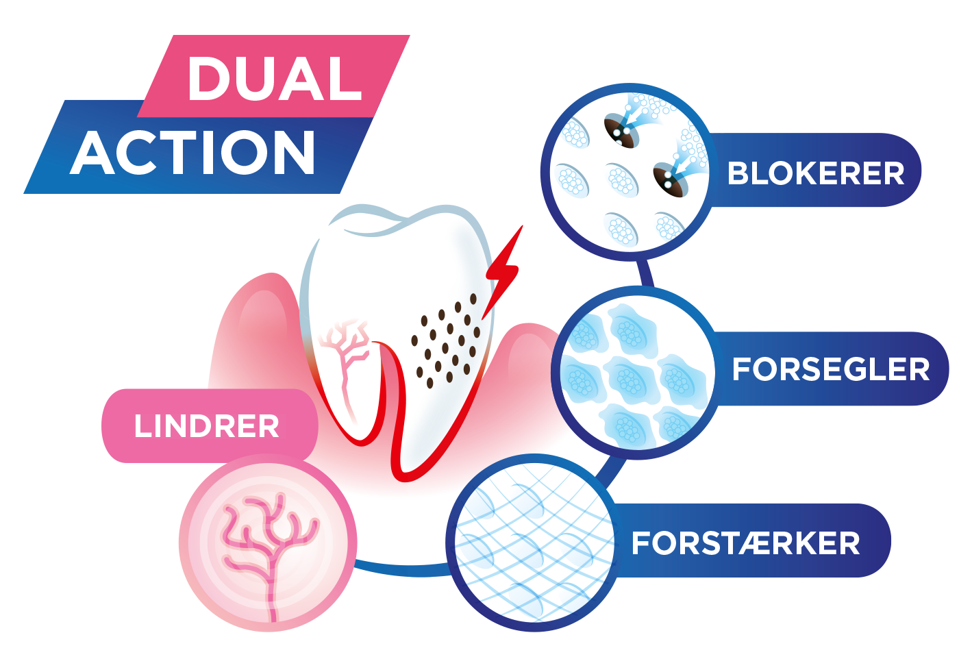 GUM Sensivital, blokerer, forsegler, forstearker